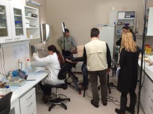 Forenziki železne dobe_05